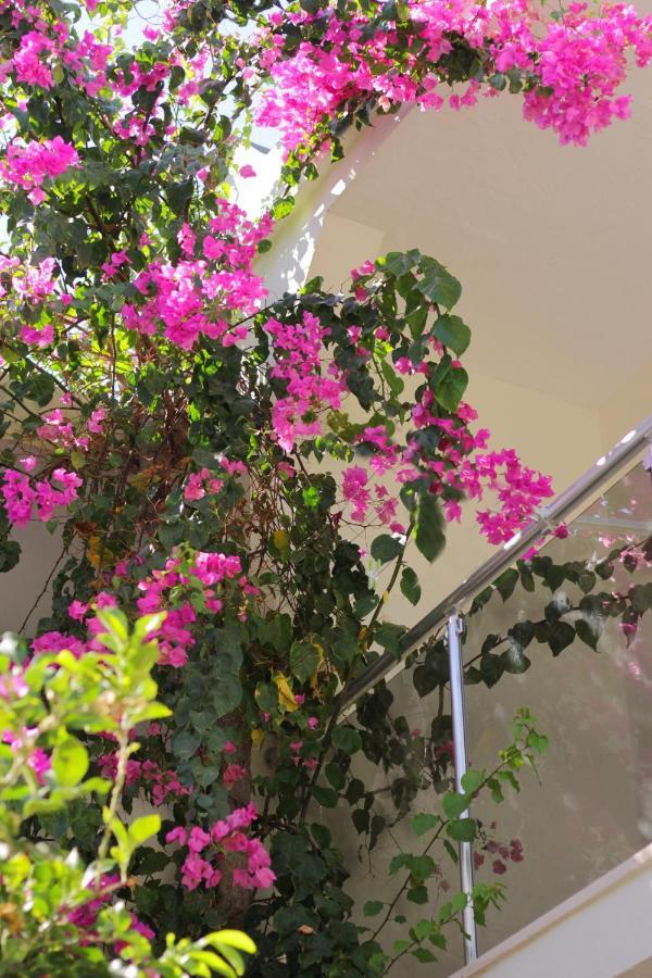 Acelya Otel Bodrum Buitenkant foto